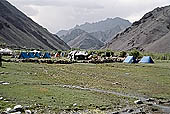 Ladakh - Hemis area famous for the trekking possibilities and for the Hemis Gompa.